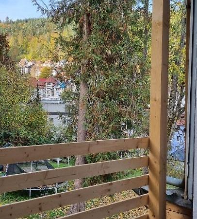 Sm3 Apartment Triberg im Schwarzwald Exteriör bild