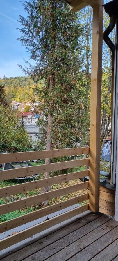 Sm3 Apartment Triberg im Schwarzwald Exteriör bild